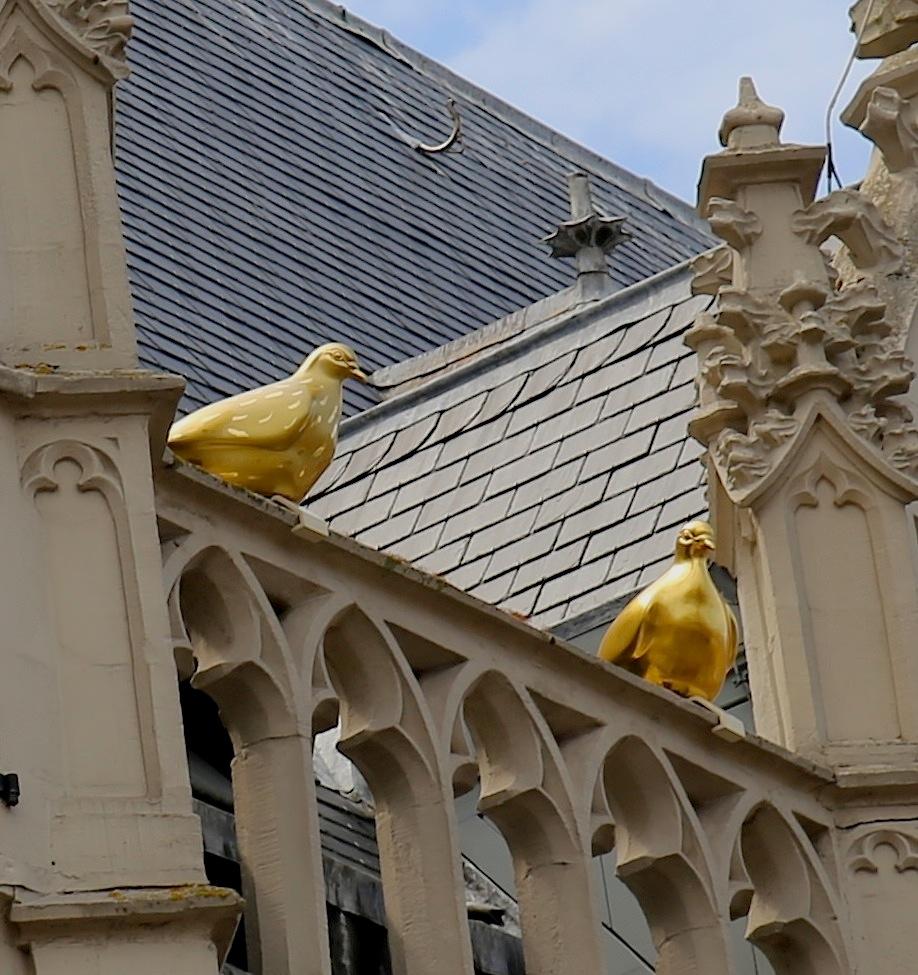 Photo Stadhuis in Alkmaar, View, Sightseeing - #3