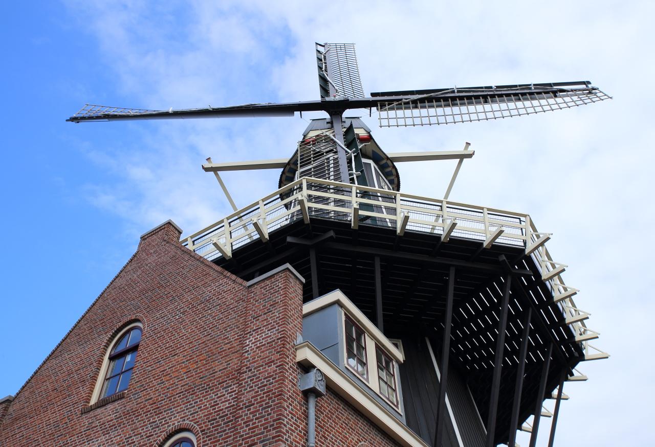 Photo Molen De Adriaan in Haarlem, View, Museums & galleries, Neighborhood, square, park - #3