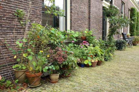 Photo Teylers Hofje in Haarlem, View, Sights & landmarks, Neighborhood, square, park