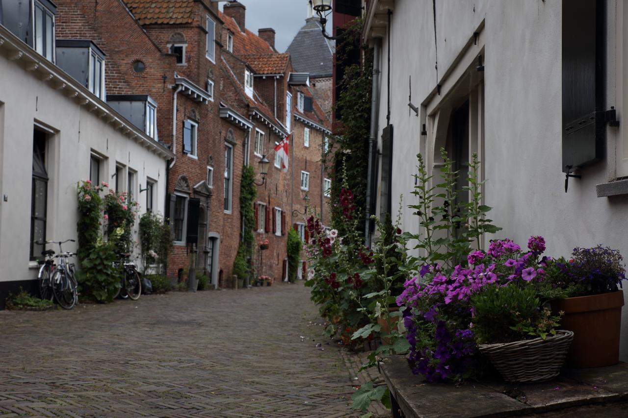 Photo Muurhuizen in Amersfoort, View, Sights & landmarks, Neighborhood, square, park - #3