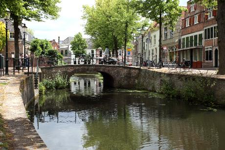 Photo Havik in Amersfoort, View, Walk around