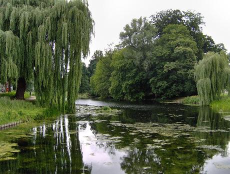 Photo Rijsterborgherpark in Deventer, View, Neighborhood, square, park