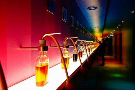 Photo House of bols in Amsterdam, Activity, Activities
