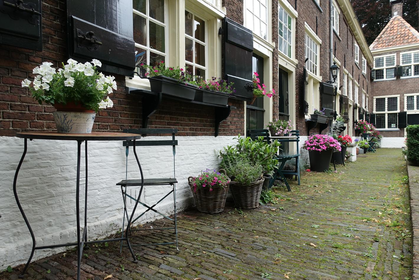 Photo Sint Annahofje in Leiden, View, Sights & landmarks - #3