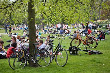 Photo Vondelpark in Amsterdam, View, Neighborhood, square, park