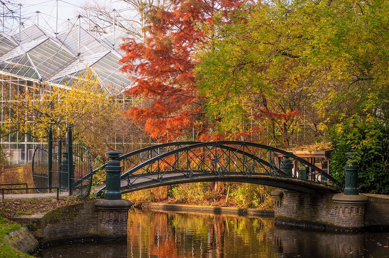 Photo Hortus Botanicus Amsterdam in Amsterdam, View, Sights & landmarks - #1