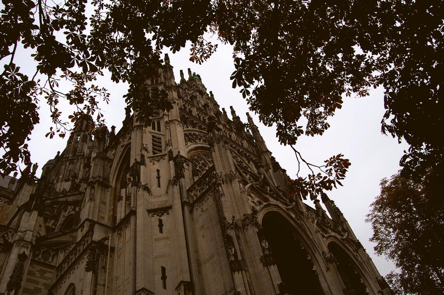 Photo Sint- Janskathedraal in Den Bosch, View, Sights & landmarks - #1