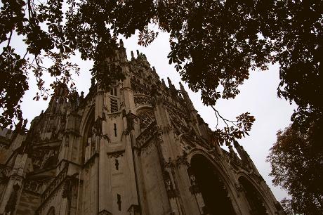 Photo Sint- Janskathedraal in Den Bosch, View, Sights & landmarks