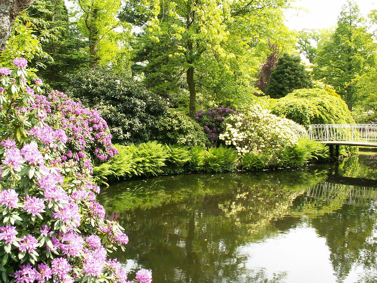 Photo Trompenburg Tuinen & Arboretum in Rotterdam, View, Sights & landmarks, Neighborhood, square, park - #1