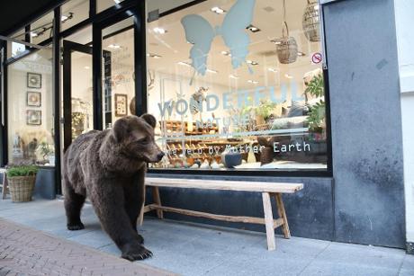 Photo Wonderful Nature in Leiden, Shopping, Lifestyle & cooking