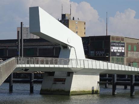 Photo Rijnhavenbrug in Rotterdam, View, Neighborhood, square, park