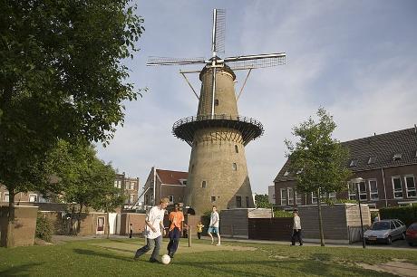 Photo Molen Kyck over den Dyck in Dordrecht, View, Sights & landmarks, Activities