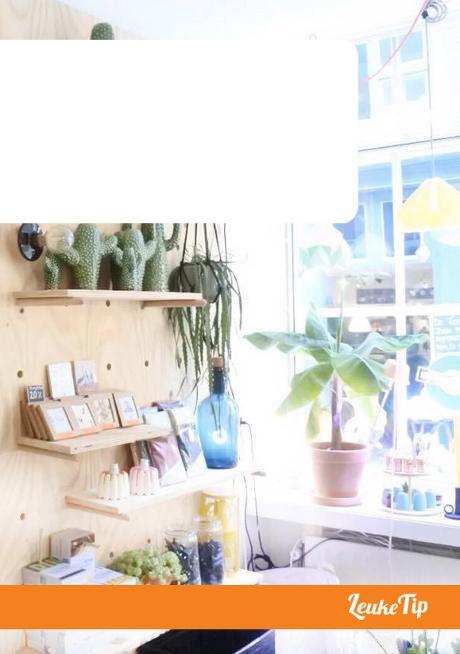 10 shops that you can't miss during a day in Dordrecht
