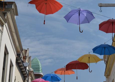 photo city guide of Deventer with tips nice shops, lunchrooms, restaurants, bars, sights and special places